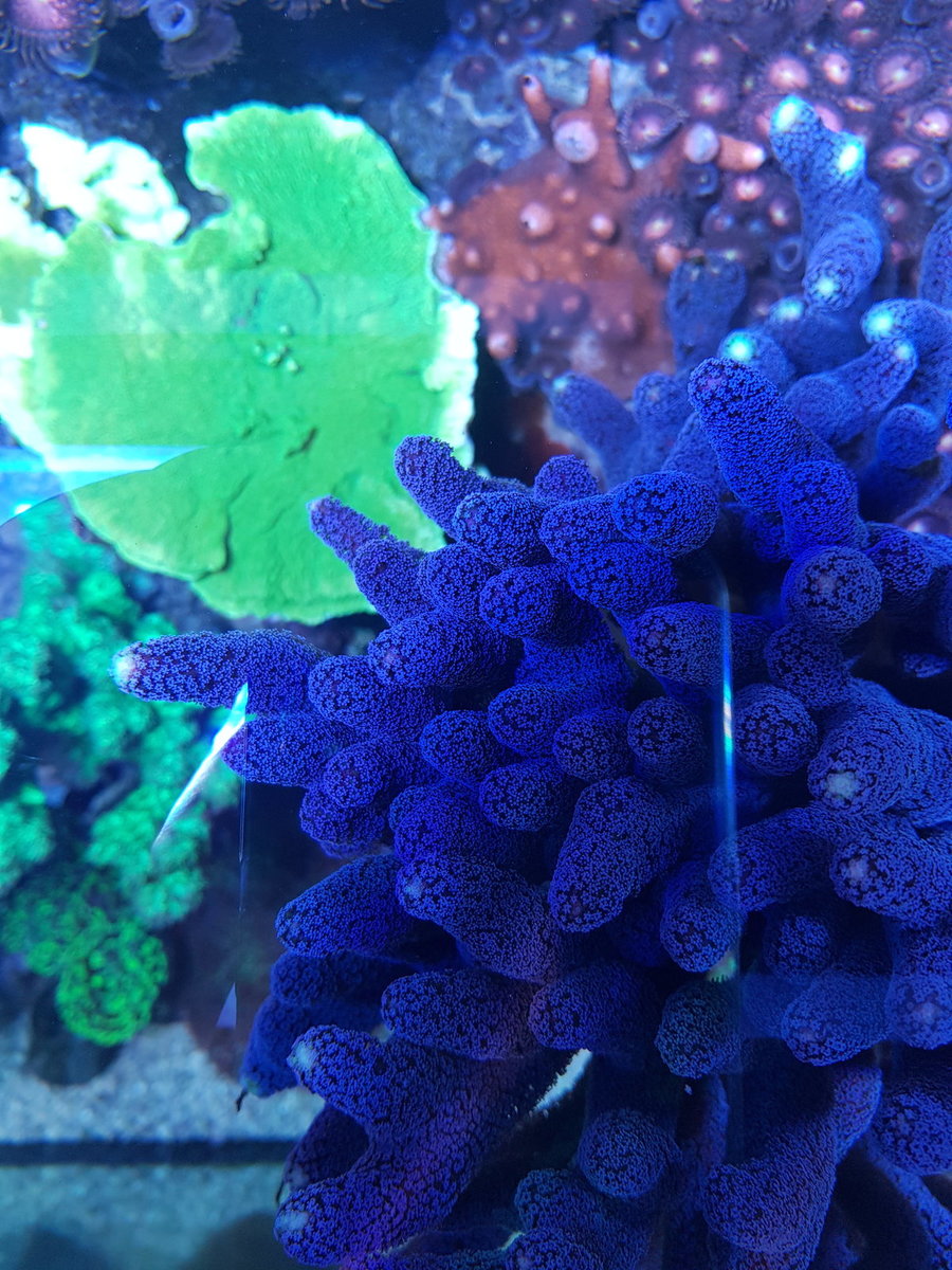 20201231_152131.jpg