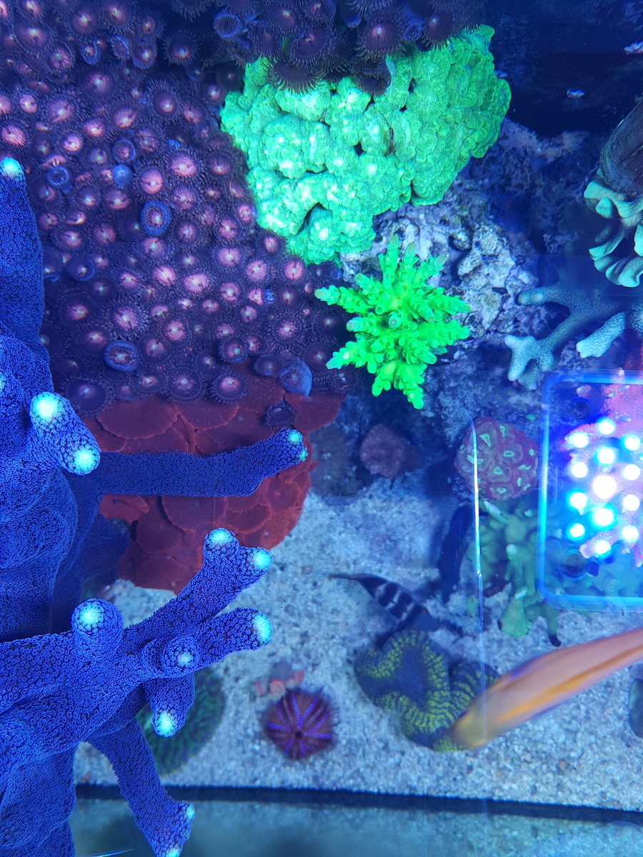 20201231_152144.jpg