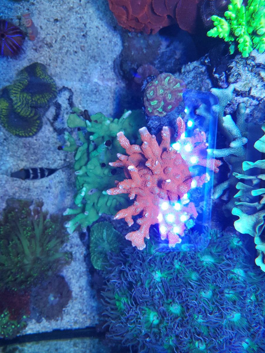 20201231_152153.jpg