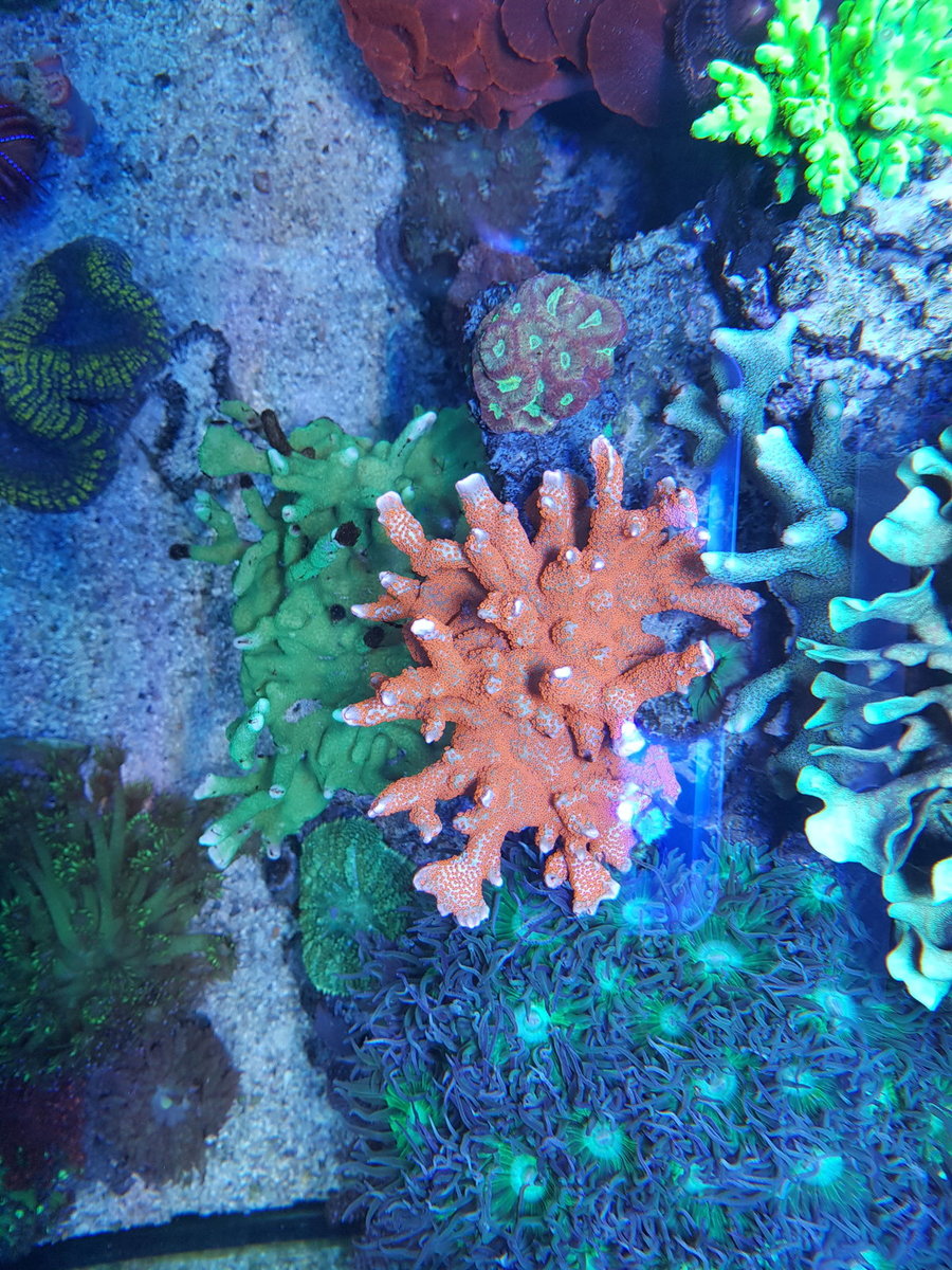 20201231_152158.jpg