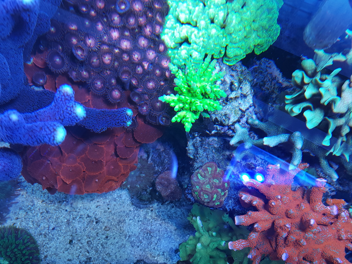 20201231_152228.jpg