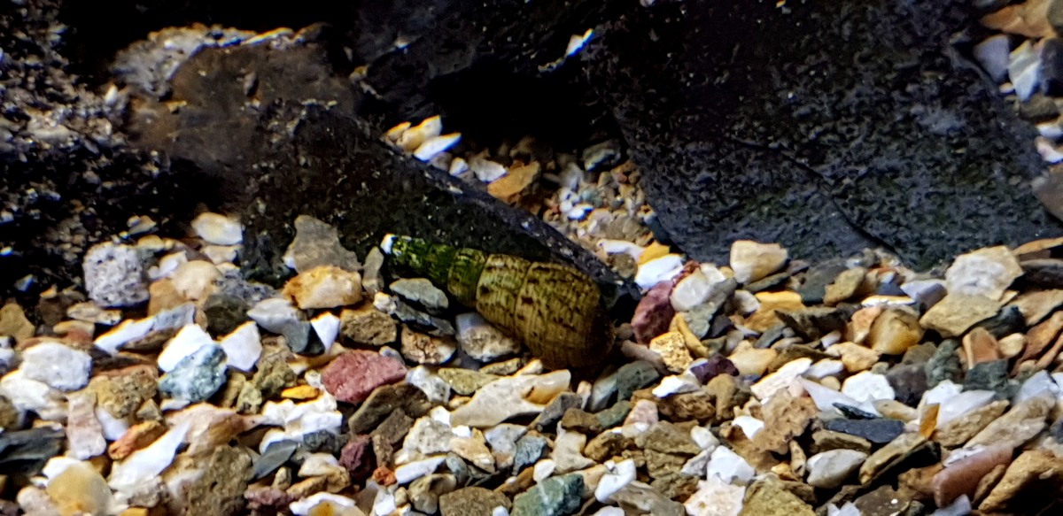 20210103_145223.jpg