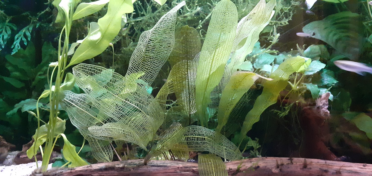 20210103_172218.jpg