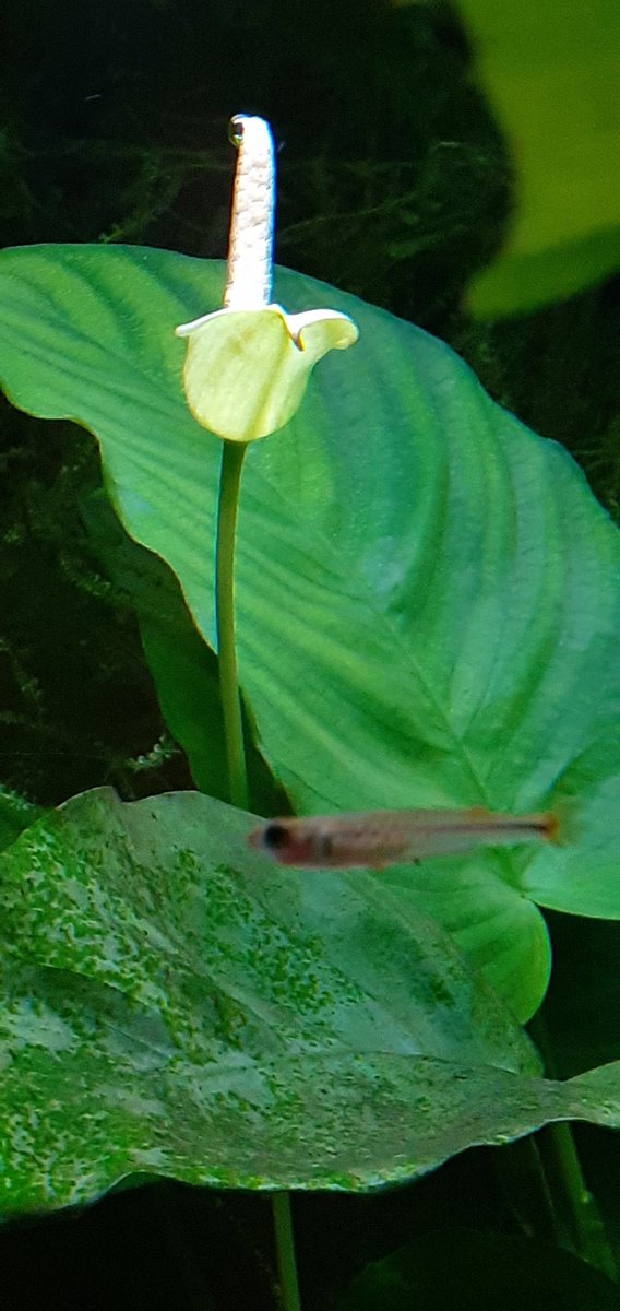 20210106_202842.jpg