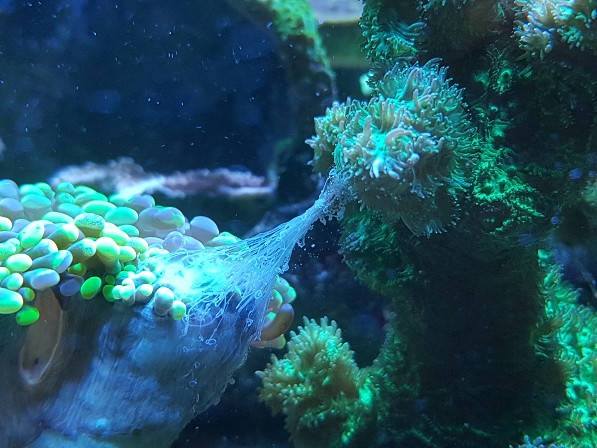 20210109_181331.jpg