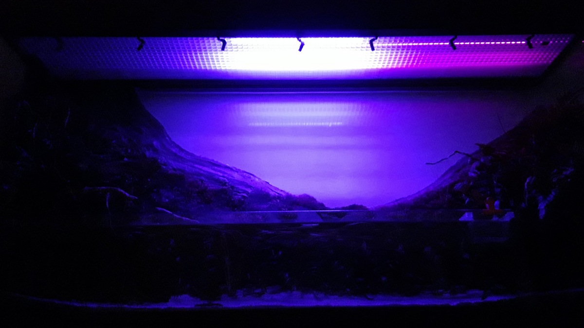 20210109_214146.jpg