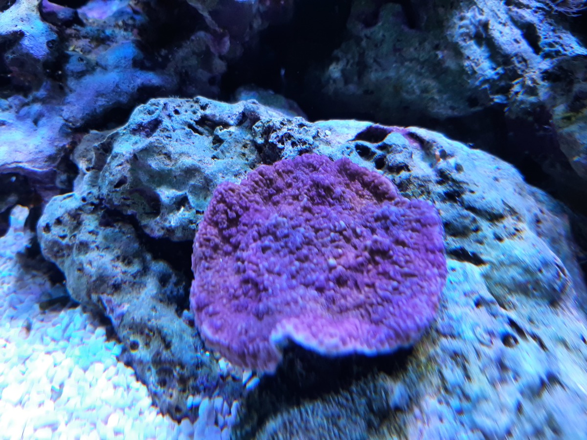 20210113_103938.jpg
