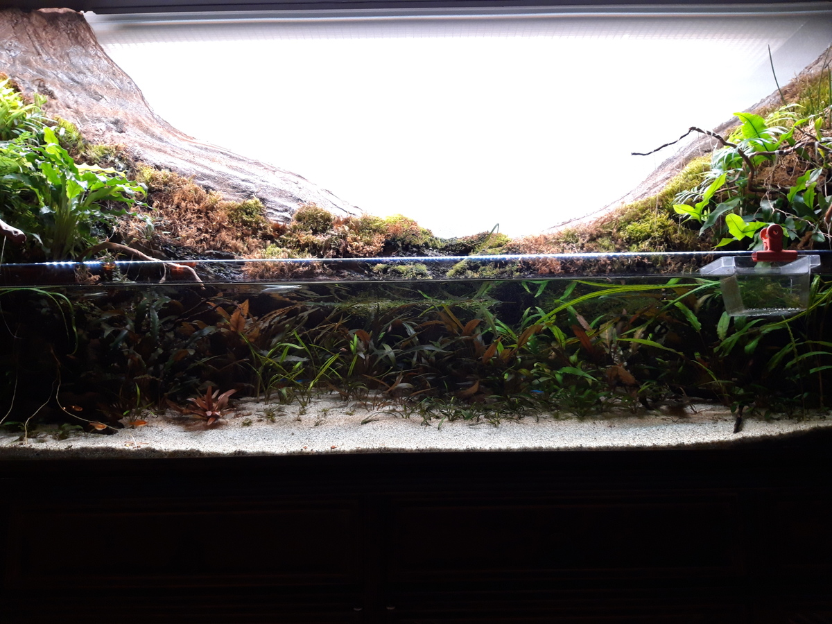 20210117_172844.jpg