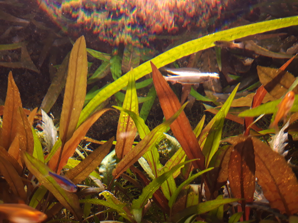 20210117_183831.jpg