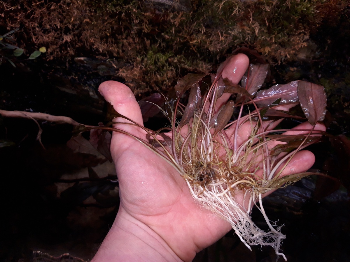 20210123_152144.jpg