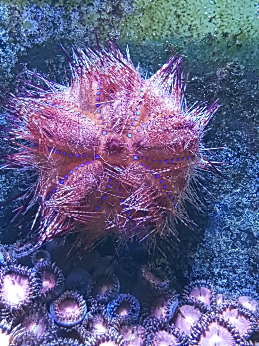 20210124_125351.jpg