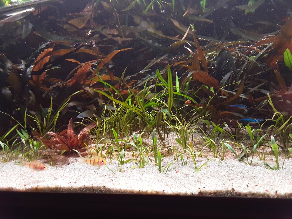 20210124_170607.jpg