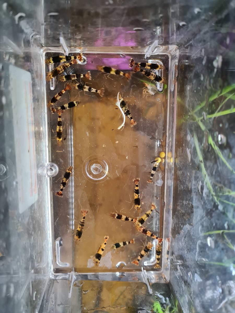 20210207_101509.jpg