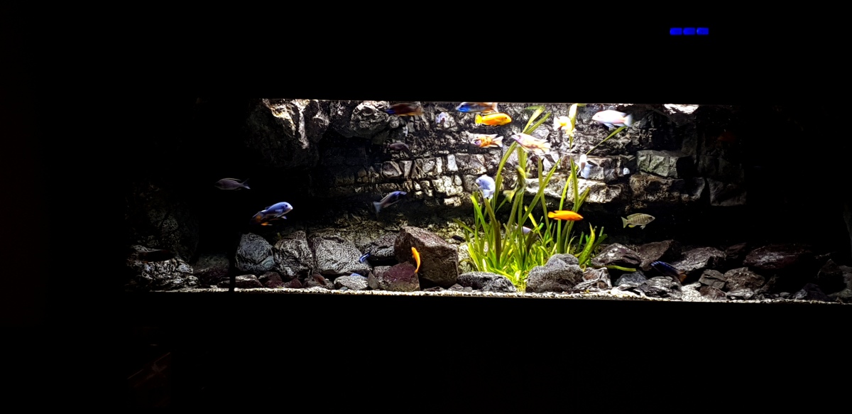 20210207_171325.jpg