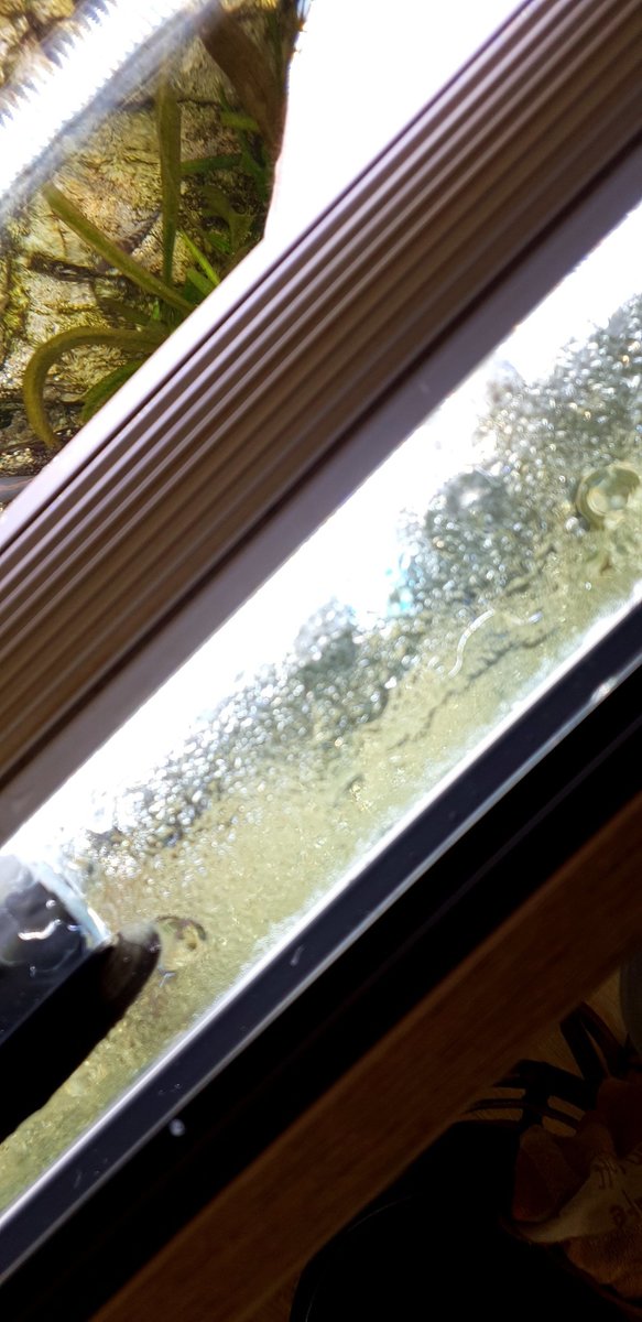 20210220_115439.jpg