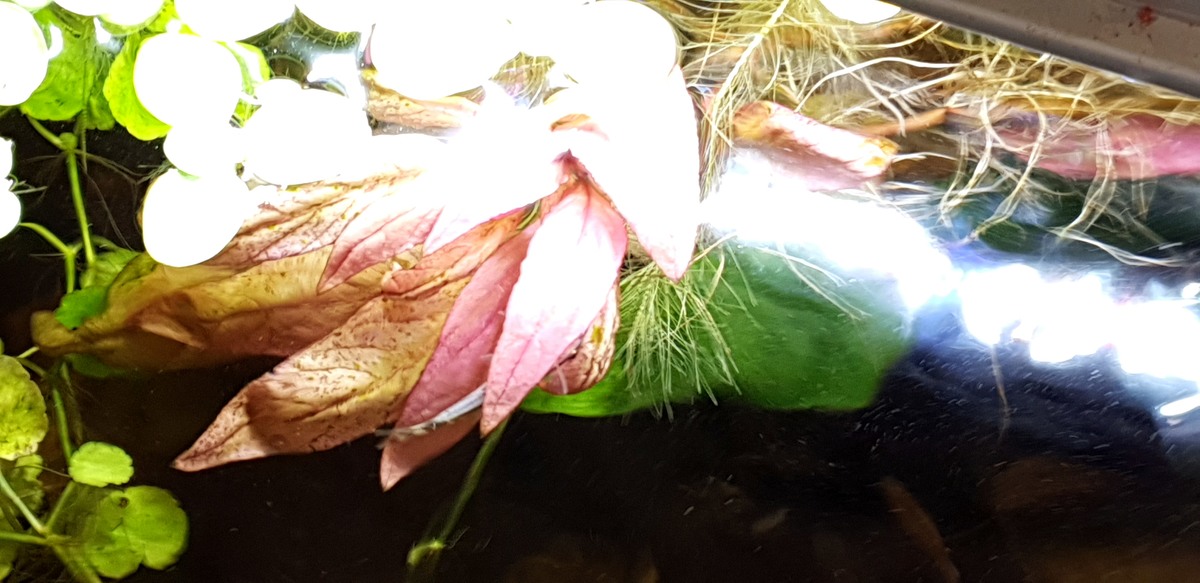 20210228_144553.jpg