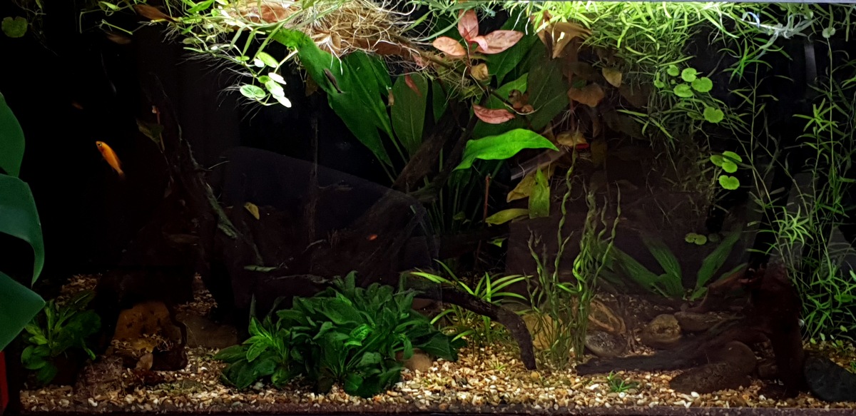 20210228_150224.jpg