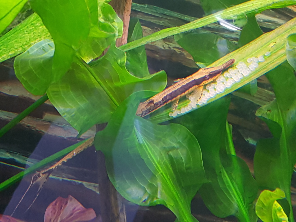 20210305_172555.jpg