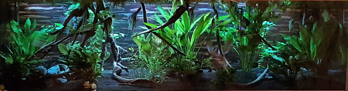20210309_214913.jpg