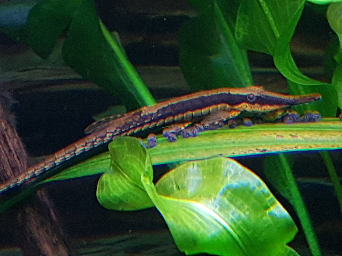 20210313_144609.jpg