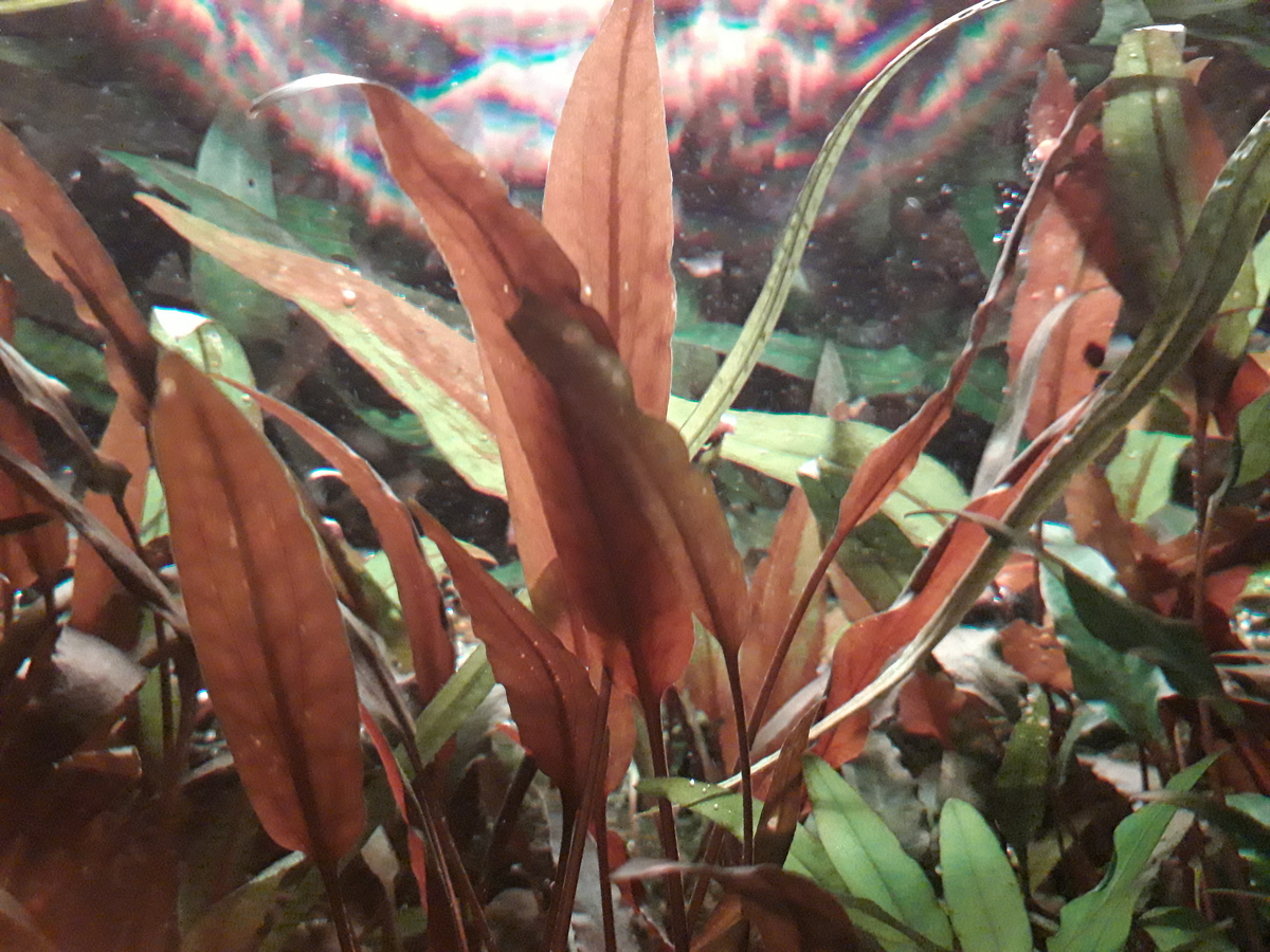 20210316_194752.jpg