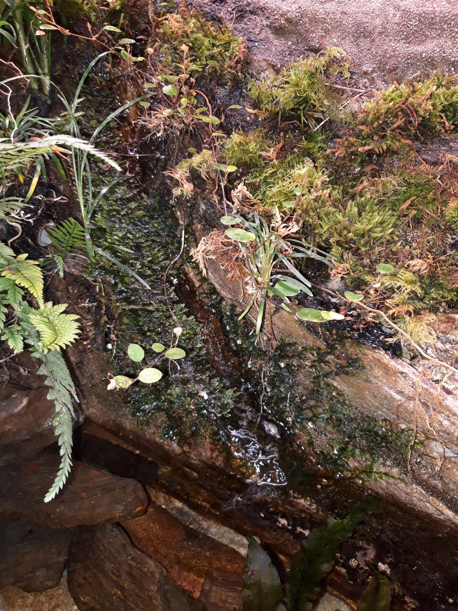 20210322_125308.jpg
