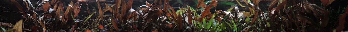 20210323_193240.jpg