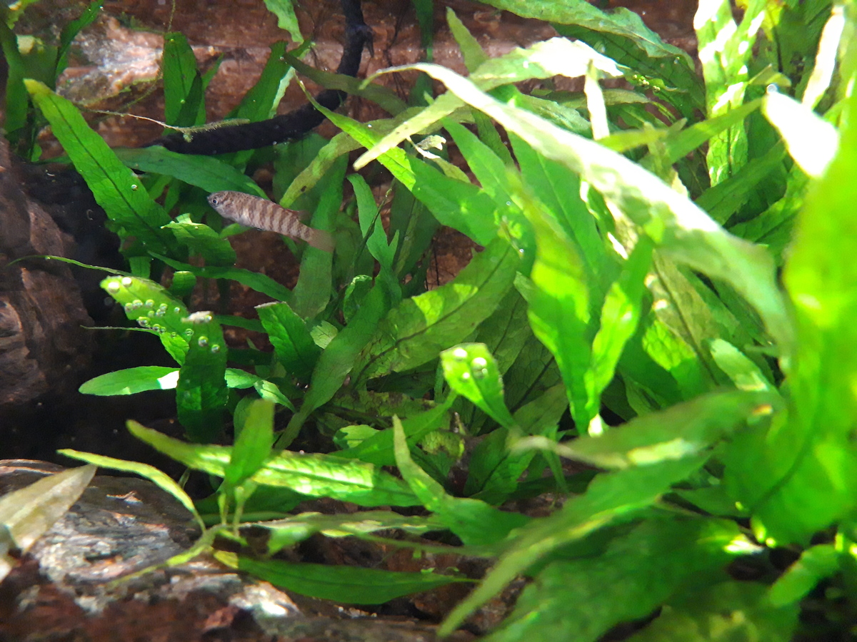 20210324_173734.jpg