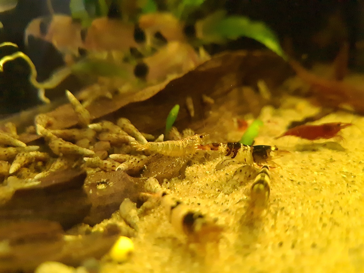 20210404_111757.jpg