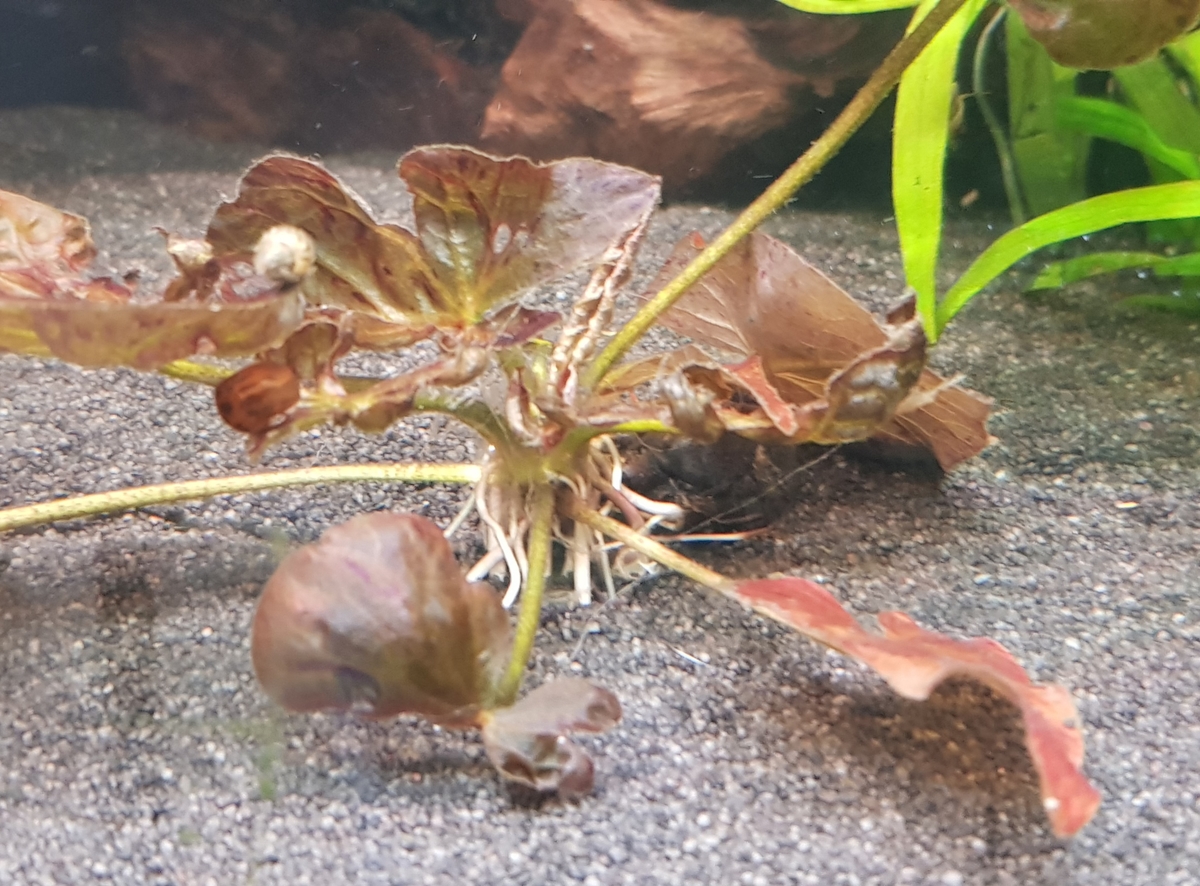 20210407_171719.jpg