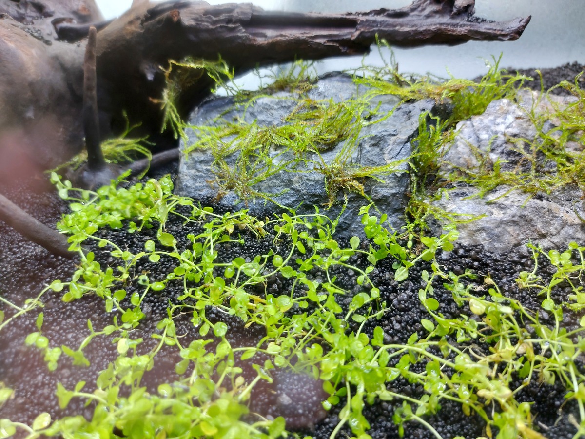 20210430_114304.jpg