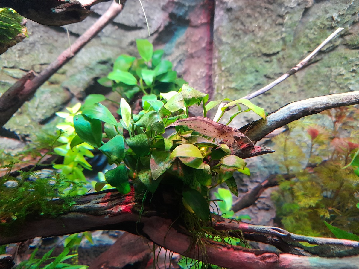 20210504_201445.jpg