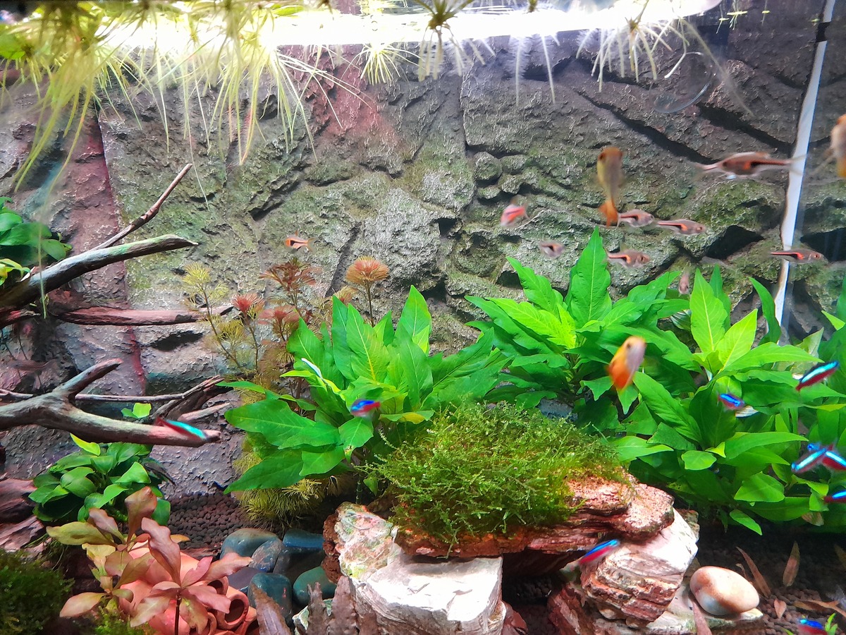 20210504_201455.jpg