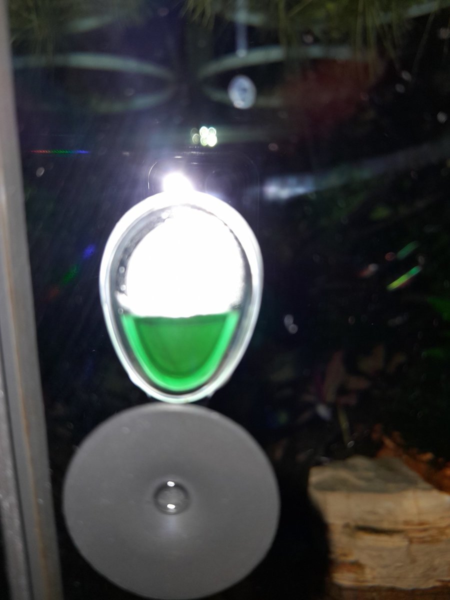20210505_072744.jpg