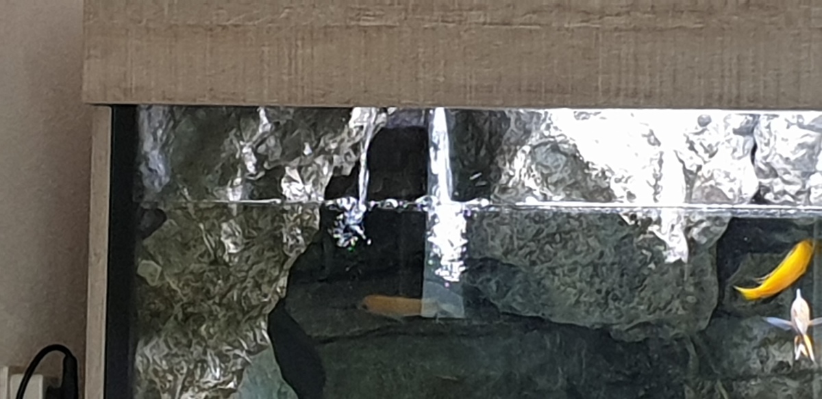 20210508_145028.jpg