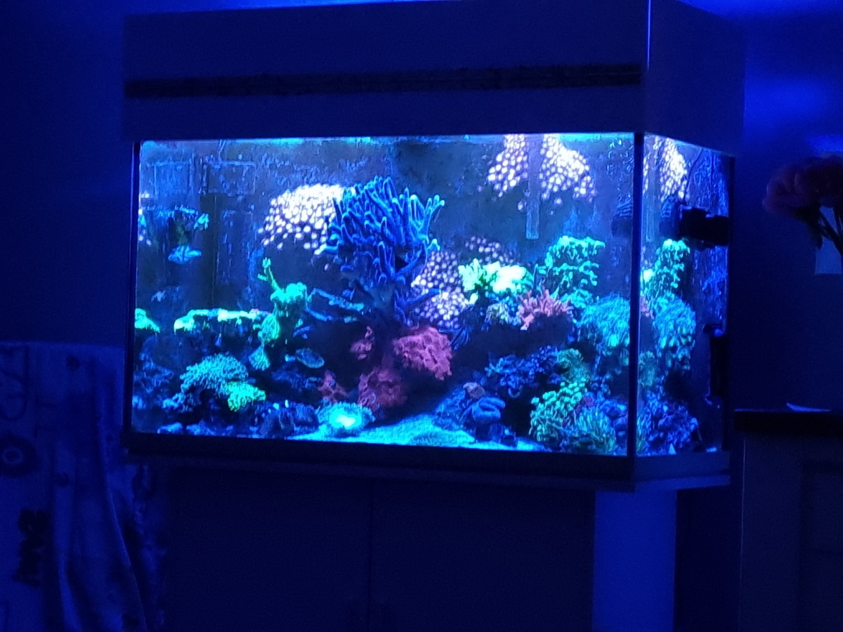 20210515_220416.jpg