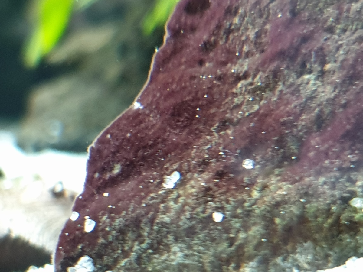 20210525_172233.jpg