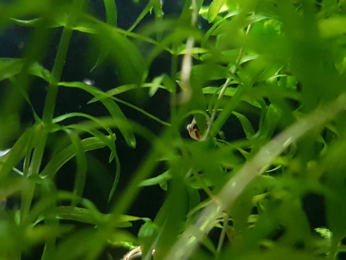 20210530_211922.jpg