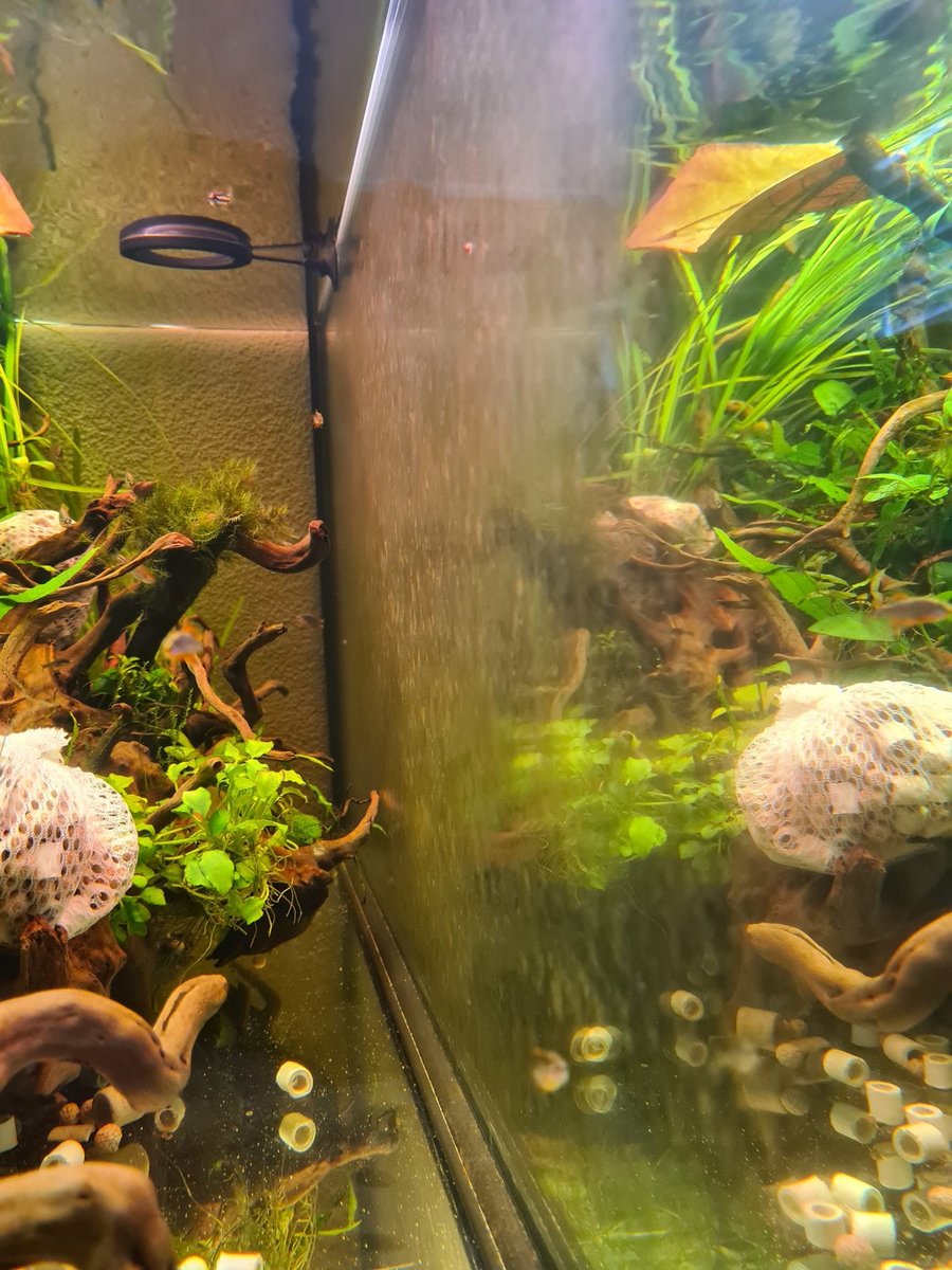 20210601_142949.jpg