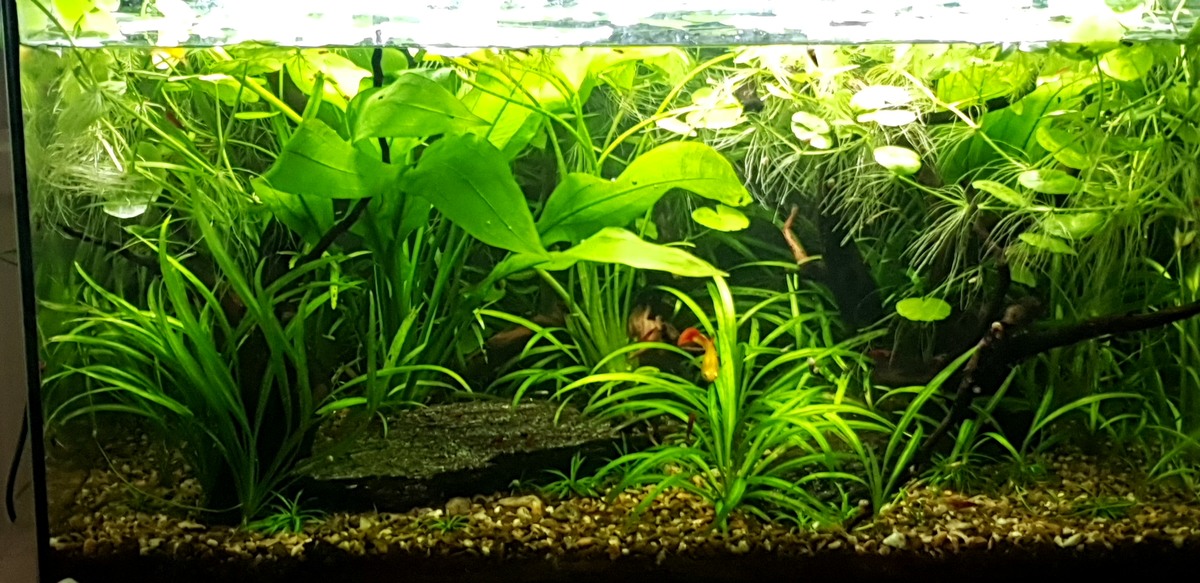 20210612_144401.jpg