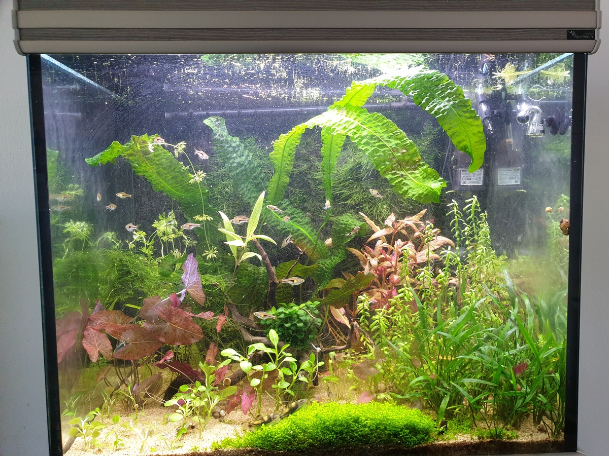 20210613_150135.jpg