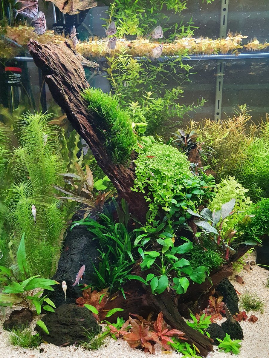 20210613_152231.jpg