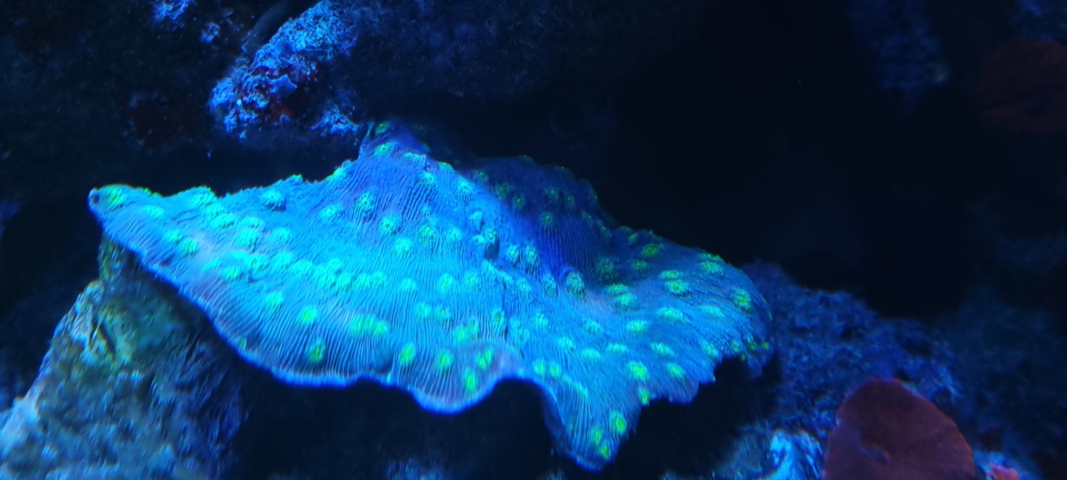 20210628_213802.jpg