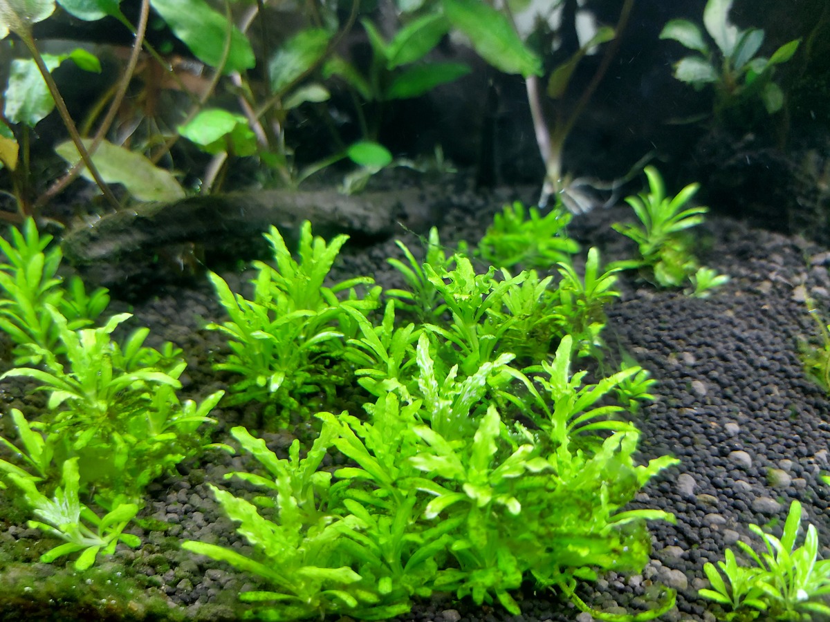 20210629_180451.jpg