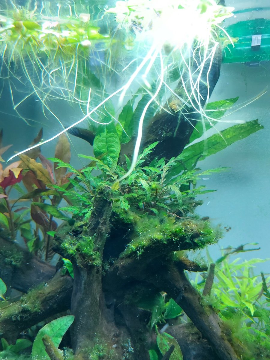 20210629_180708.jpg
