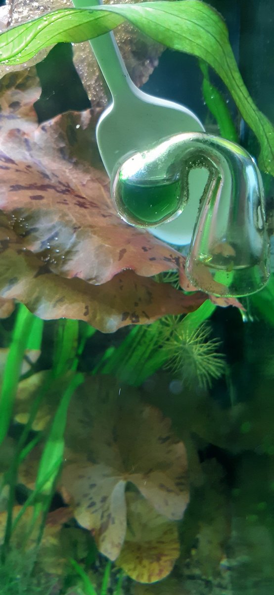 20210703_191243.jpg