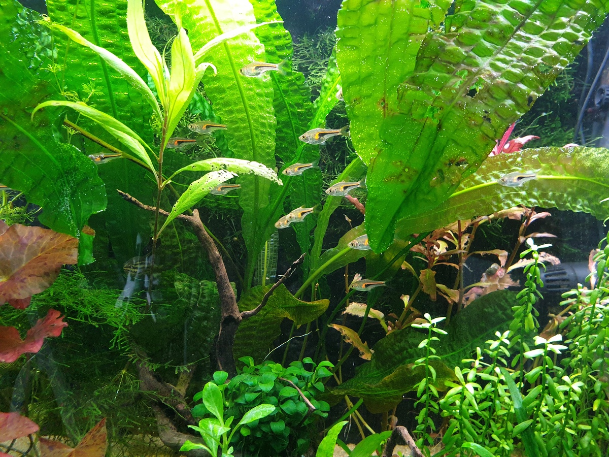20210704_153437.jpg