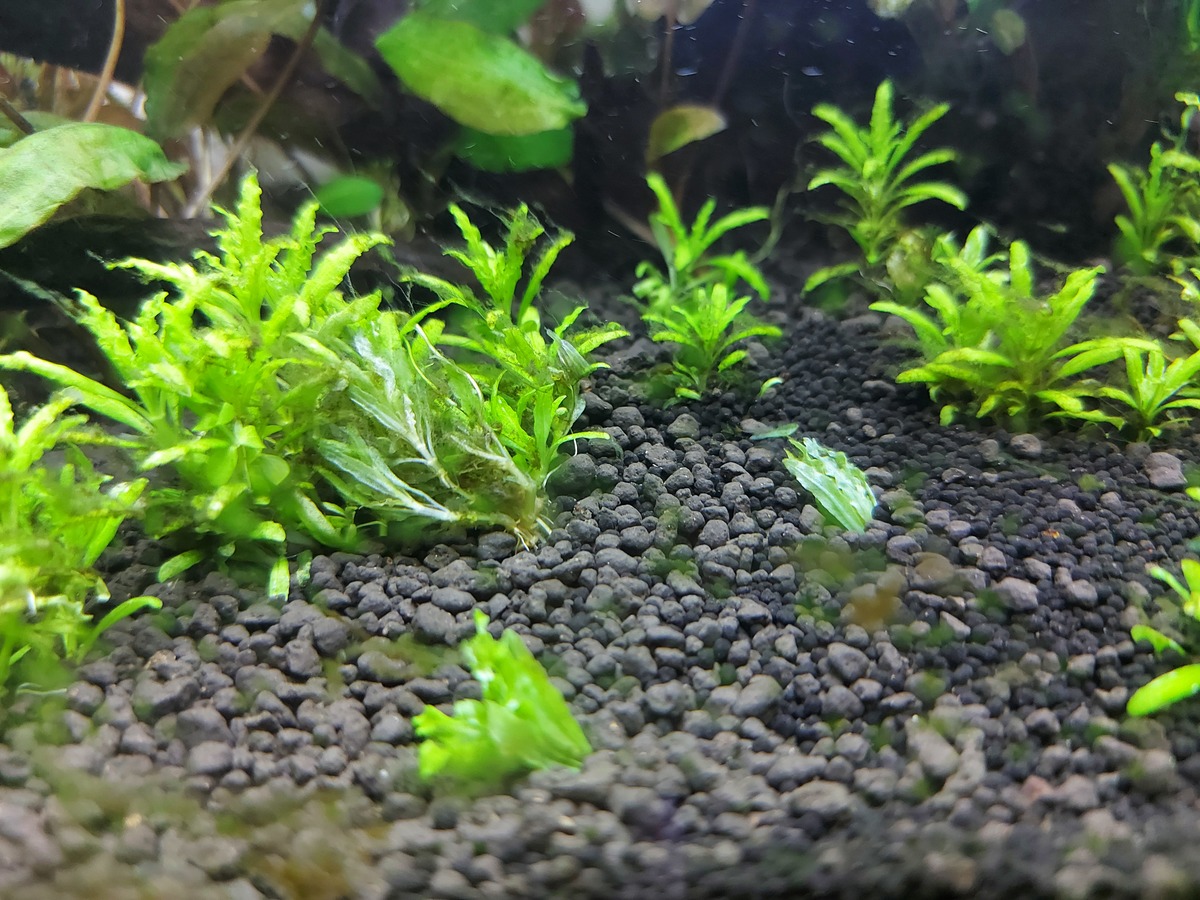 20210706_161736.jpg