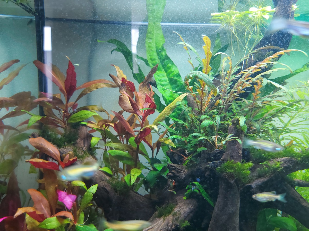 20210714_145430.jpg