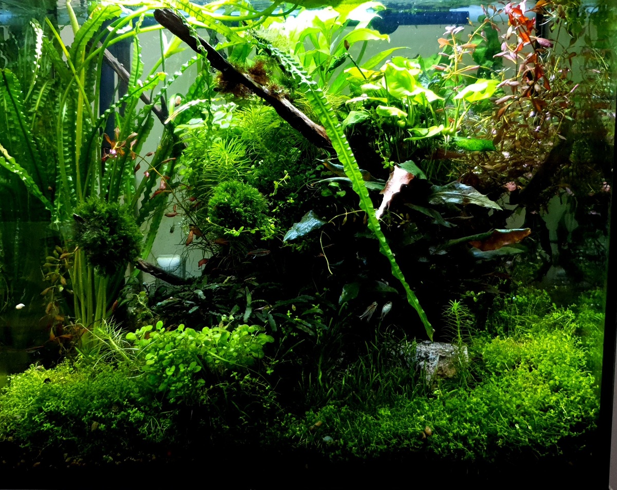 20210724_160621.jpg